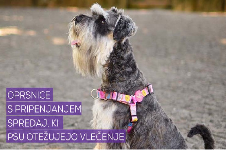 oprsnice proti vlečenju